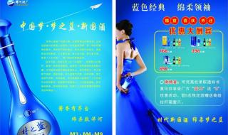 中国梦梦之蓝梦想星搭档