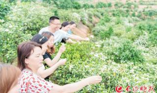 长沙外卖单全是鲜花