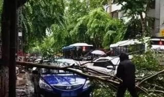 广东一列车因暴雨中途停车